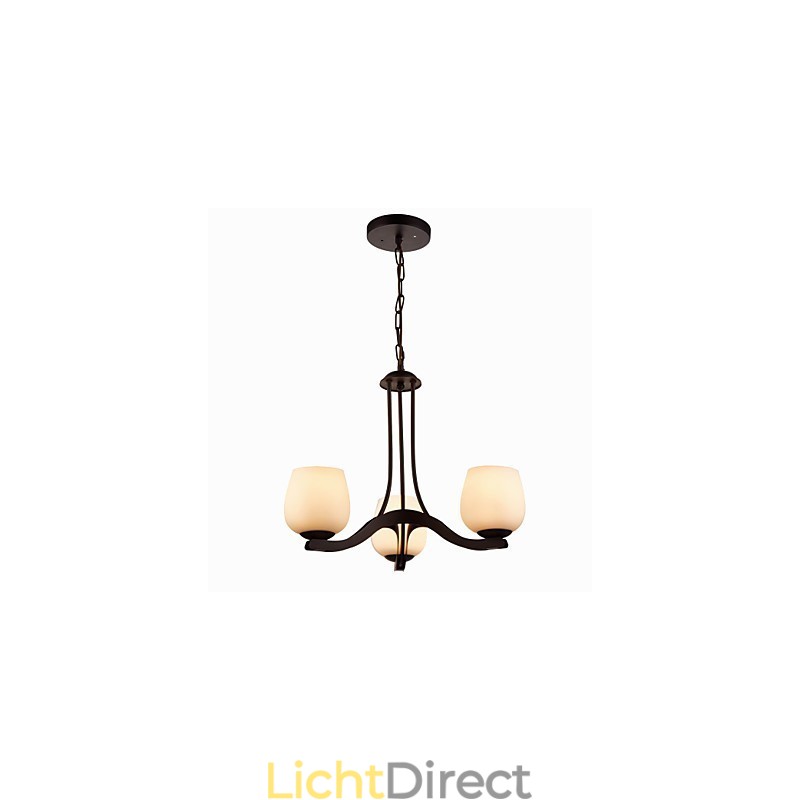 IJzeren schilderij kroonluchter met glazen kap klassieke verlichtingslamp 3 koppen