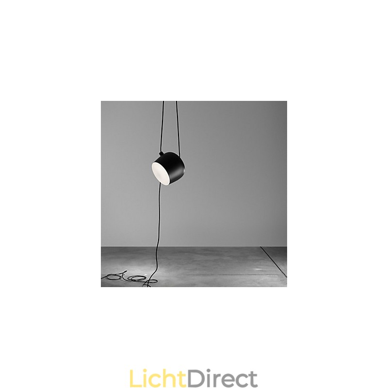 Moderne, eigentijdse metalen hanglamp met schilderij